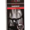 CalExotics-Her-Royal-Harness-Queen-BDSM-Strap-Box.jpg