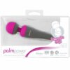 Palm-Power-Rechargeable-Silicone-Wand-Massager-Box.jpg