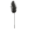 Sportsheets-Black-Body-Tickler-Ostrich-Feather-Standing.png